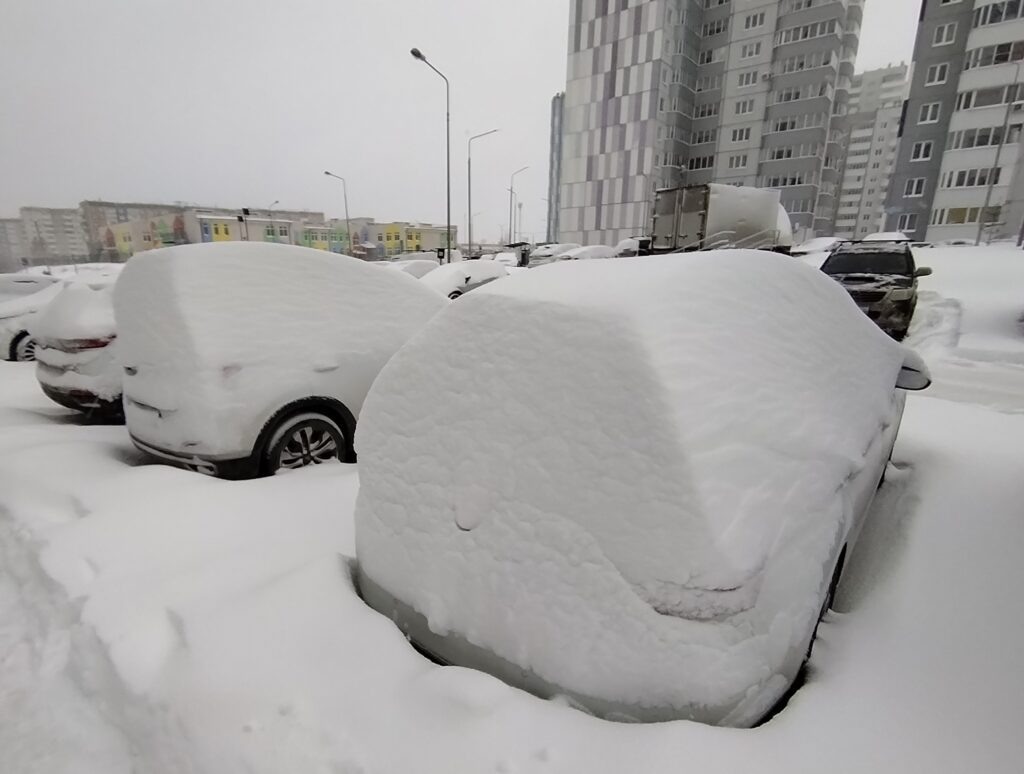    Фото: В курсе.ру Ульяна Бажанова