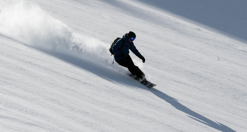    фото создано нейросетью Алиса