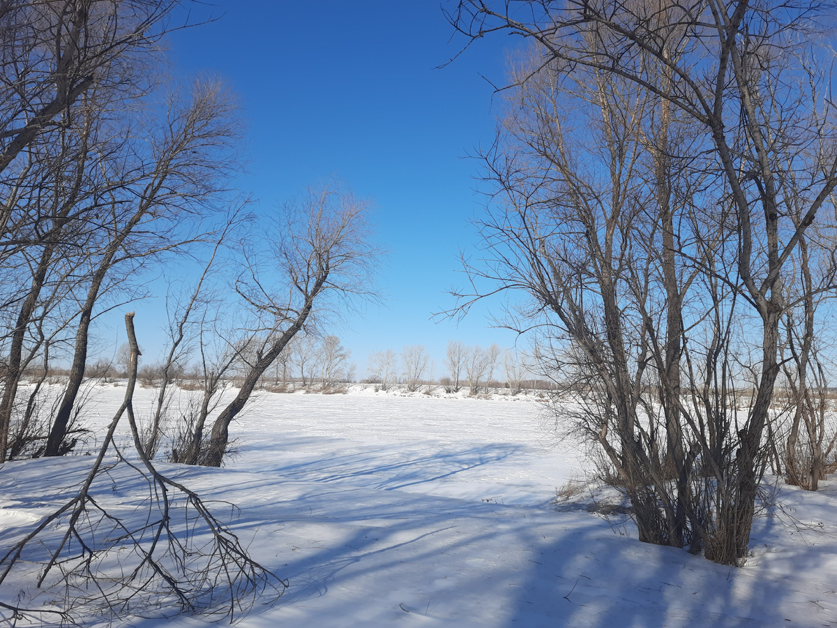 Река Чулым