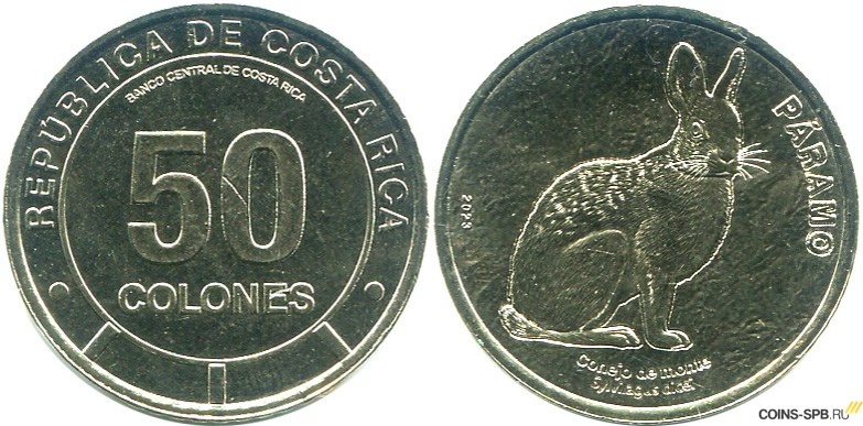 Экосистема Парамо, Горный кролик (Дайса) «PARAMO» (лат. Sylvilagus dicei) серии «Фауна Коста-Рики». Памятная монета в обращении. Тираж: 25 млн. шт. Дата выпуска: 26 ноября 2025 г. Монетный двор Польши (Mennica Polska), Варшава.