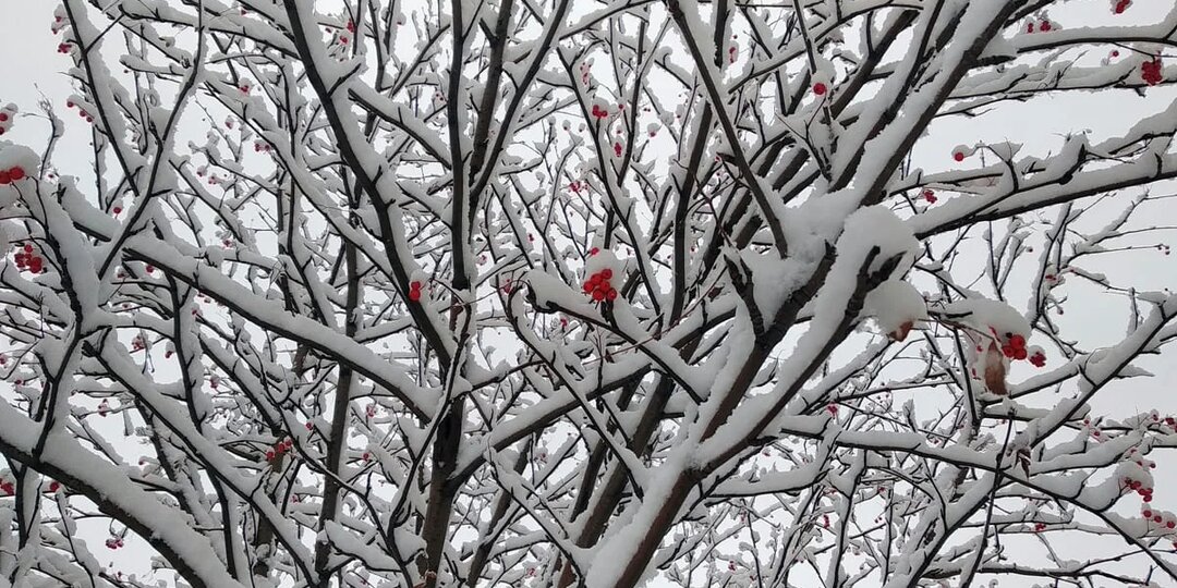 Погода в Стерлитамаке на понедельник, 2 февраля 2026 года