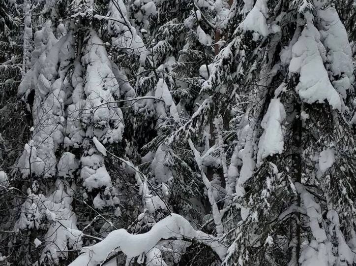 Петр Вяземский "МЕТЕЛЬ"