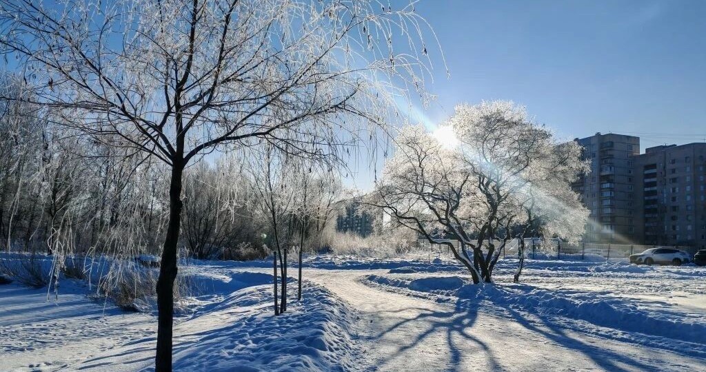 Стало известно, когда в Петербурге ослабнут морозы
