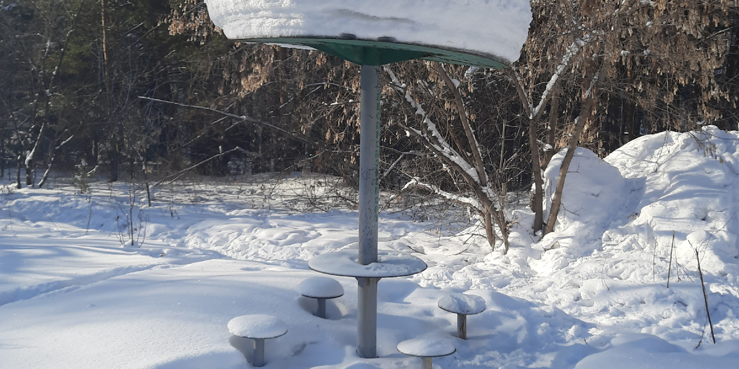 Прогулка по любимому лесу🌲и как горожане встали на его защиту!