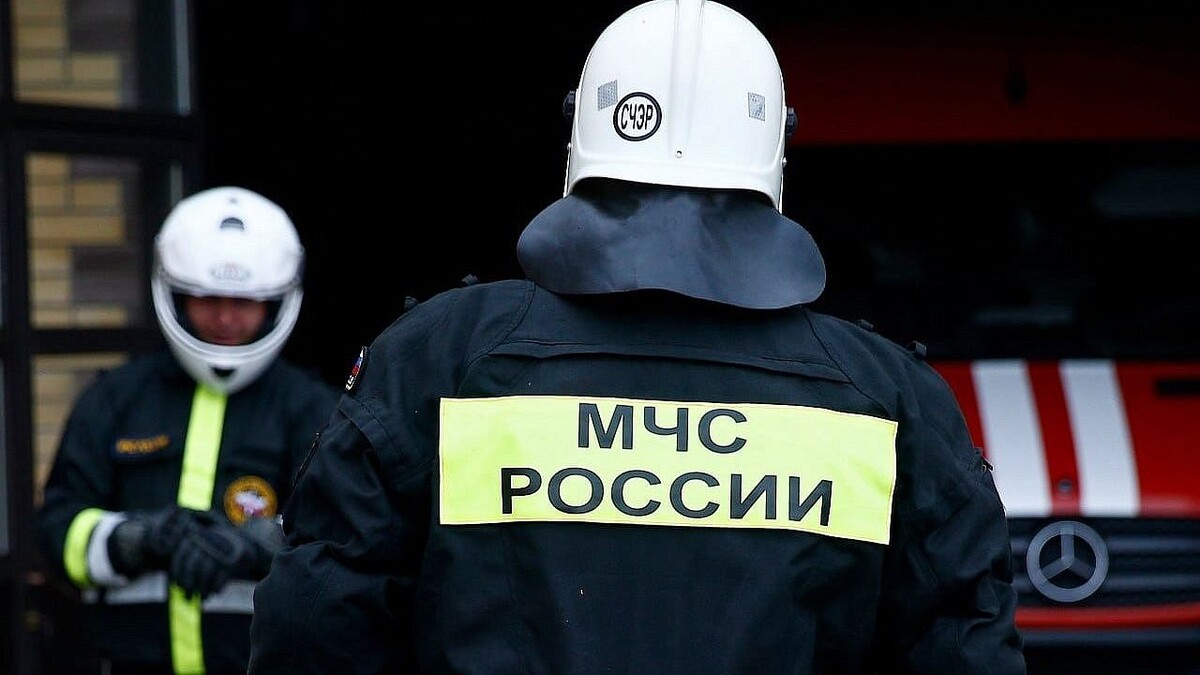    Фото: телеканал «Краснодар»