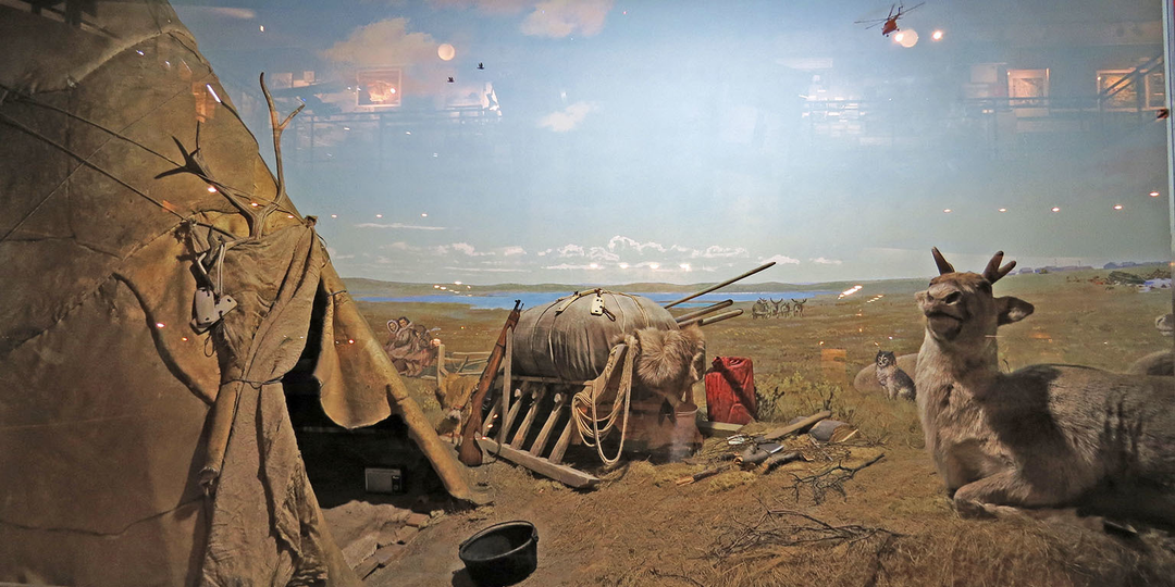 Долгано-Ненецкий автономный округ. Ненцы Таймыра - кто они и давно ли тут живут?