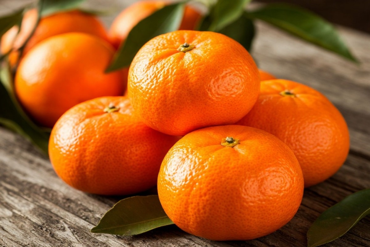    Фото: сгенерировано нейросетью