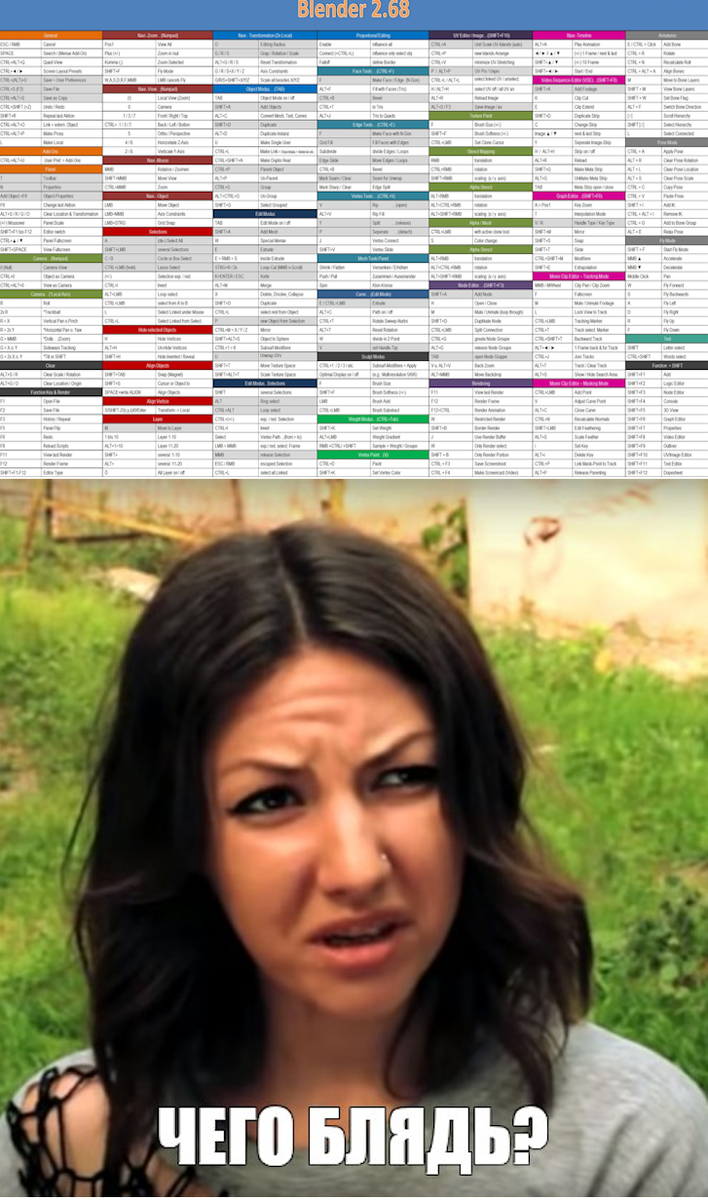 Две шальные картинки из интернета удачно соединённые в одну