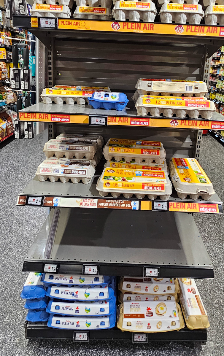 Цены на яйца во французском супермаркете