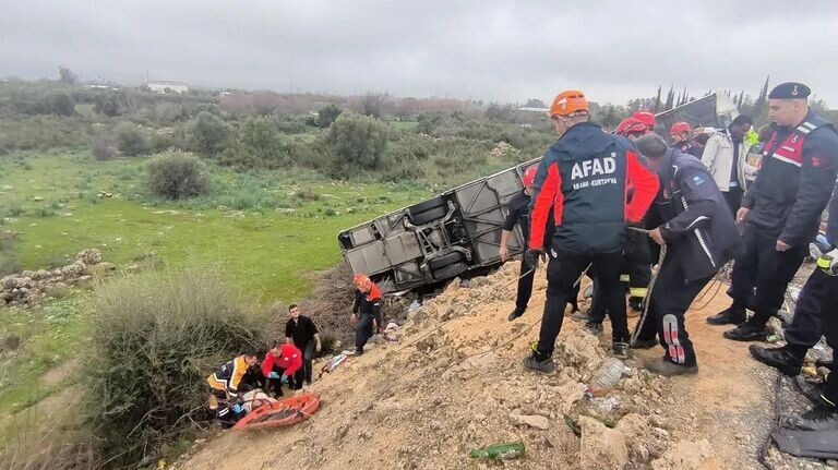     / Источник: Социальные сети