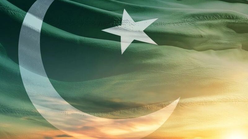    Фото: em_concepts/Shutterstock/Fotodom