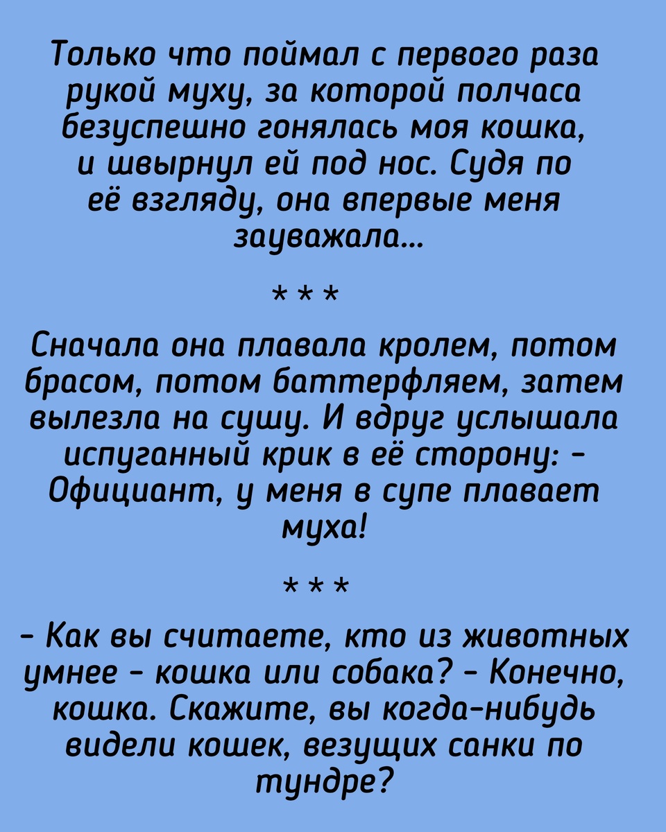 Все картинки здесь созданы мной в приложении Надпись на фото 