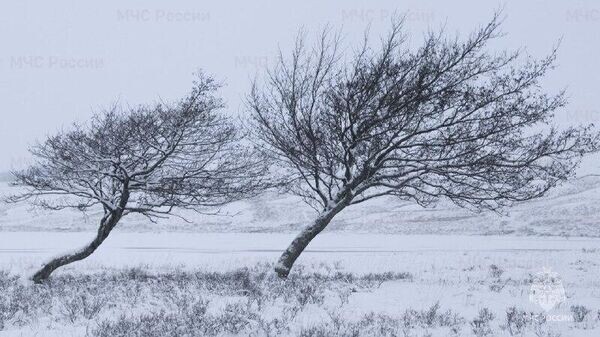    © МЧС России