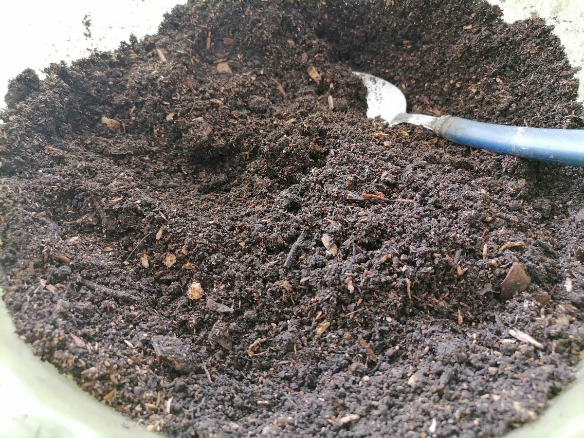 Грунт для рассады из земли, компоста, опилок для рыхлости, фото автора