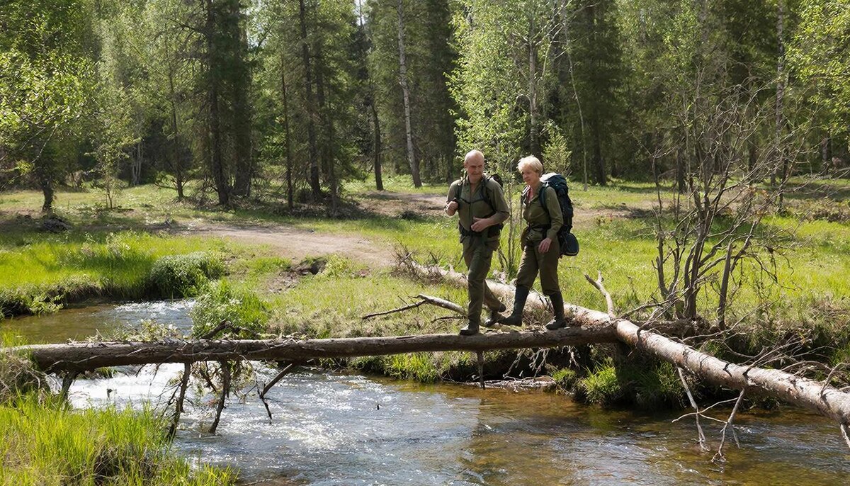 Путешественники переходят реку по дереву.