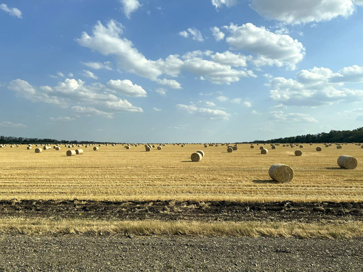 На предстоящей неделе в регионе ожидается ряд важных событий.  Фото: Фото: ФедералПресс / Андрей Гусий