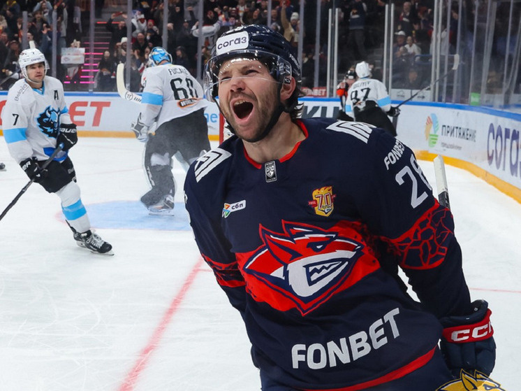     Фото: сайт ХК "Металлург"