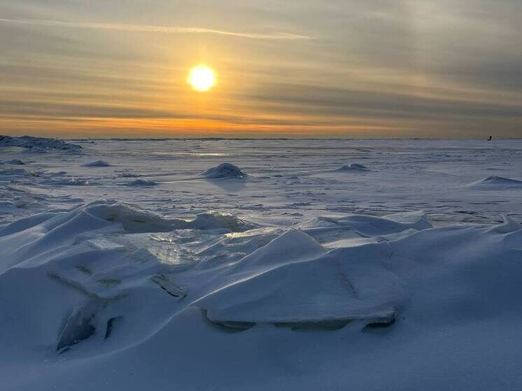     фото: архив мк в Мурманске