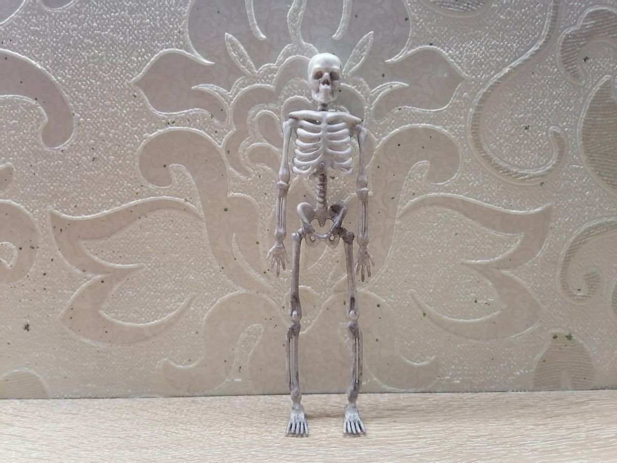 Идейный вдохновитель. Вы видите трайк?