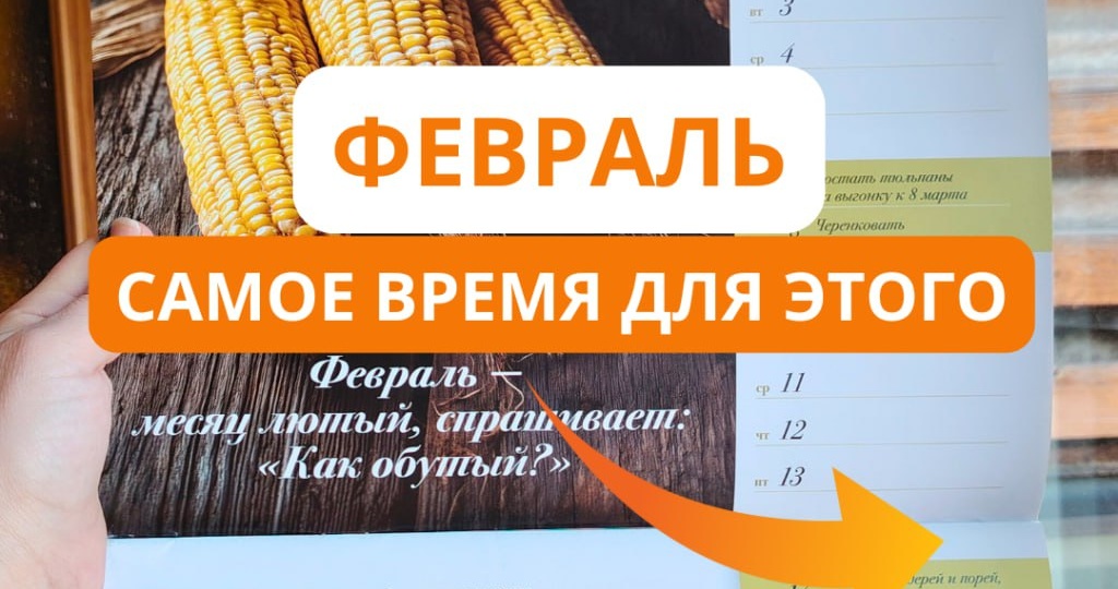 ⚠️Это точно можно делать в феврале