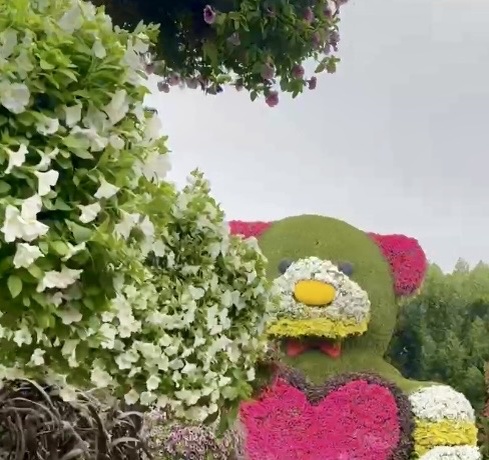 Все фотографии в статье авторские 