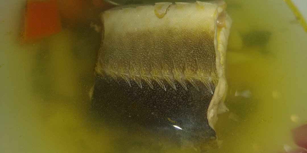 Первое февраля