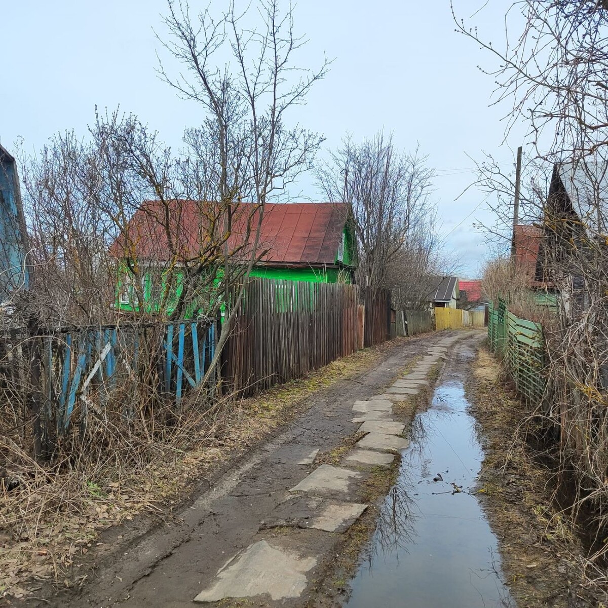 Наше СНТ, центральная линия, осень -2025
