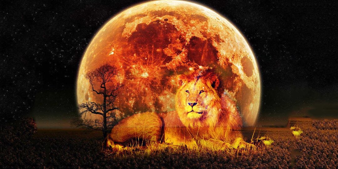 Полнолуние во Льве 2 февраля. Что несет и как использовать его энергию?