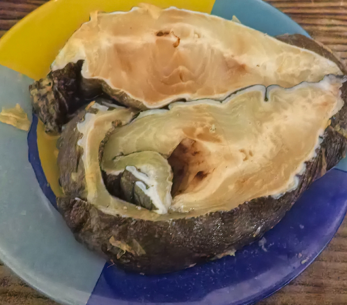 Фото автора. Первый вариант