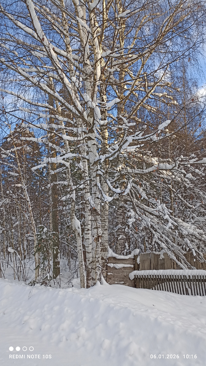 После снегопада. Фото автора.