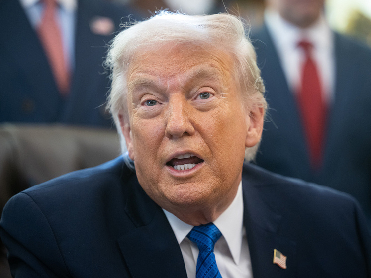     Фото: AdMedia/AdMedia/Global Look Press