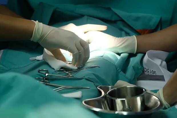    Фото: lenta.ru Полина Белоусова