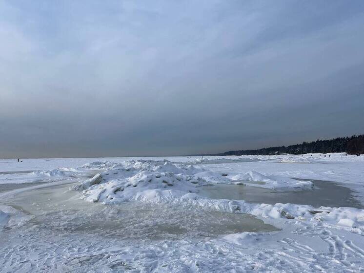     Фото из архива "МК в Калининграде"