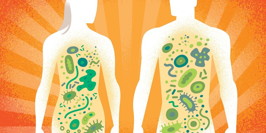 Ваш кишечник говорит с мозгом. И то, что вы едите, решает, какие слова он выберет