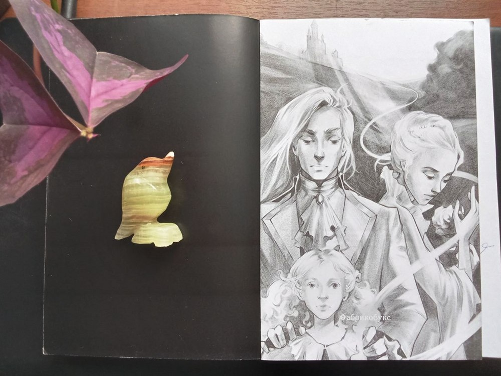 Изюминка издания - иллюстрации Юлии Биленко, очень атмосферные и, как по мне, стопроценно попавшие в образы персонажей