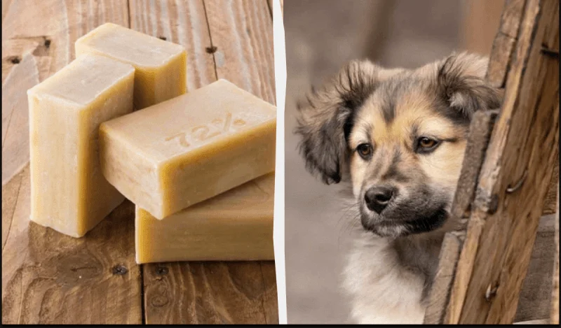 Из чего делают хозяйственное мыло и что значат проценты