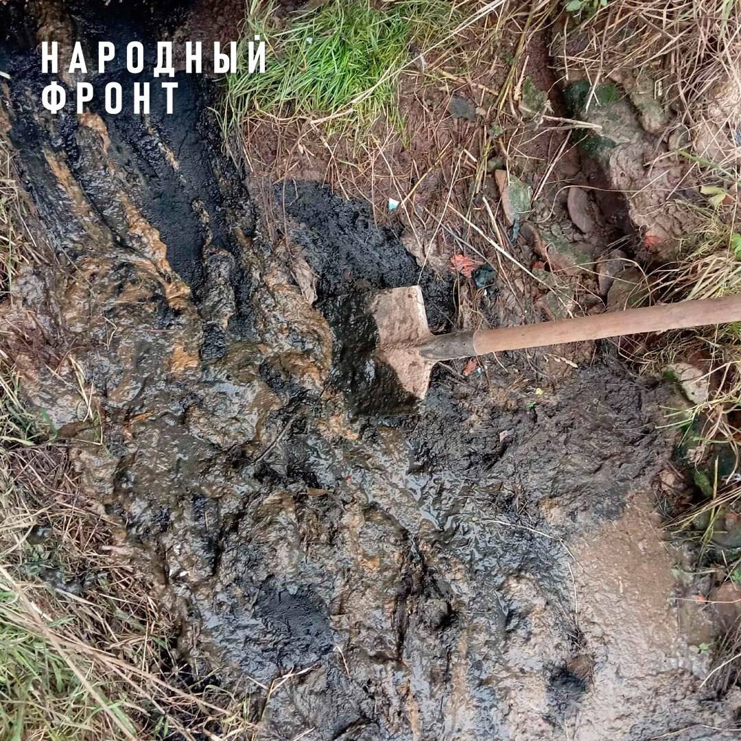    Народный фронт Кировская область