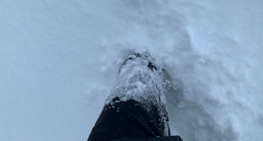    Автор фото — Илья Иваньшин