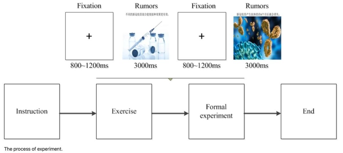 Парадигма эксперимента