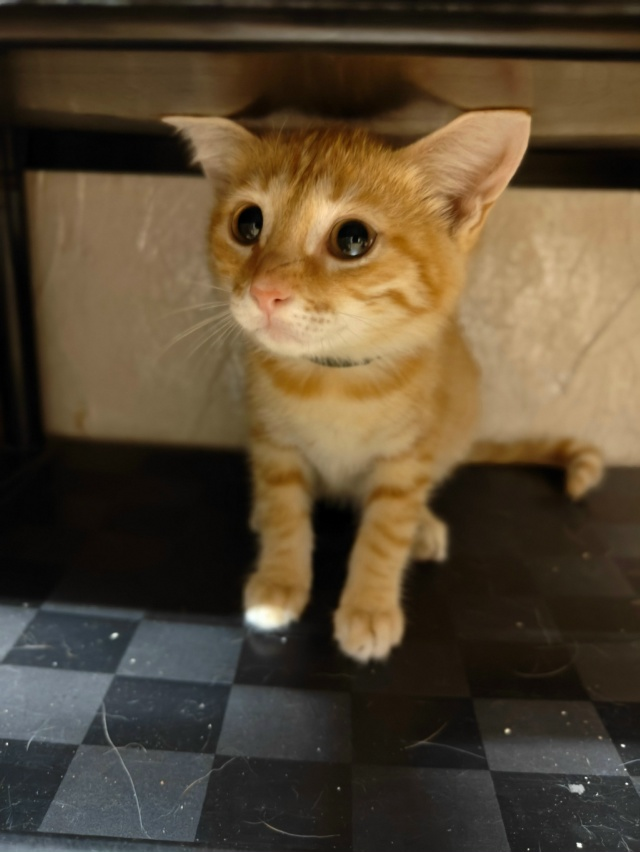 Я так хотела свою семью...