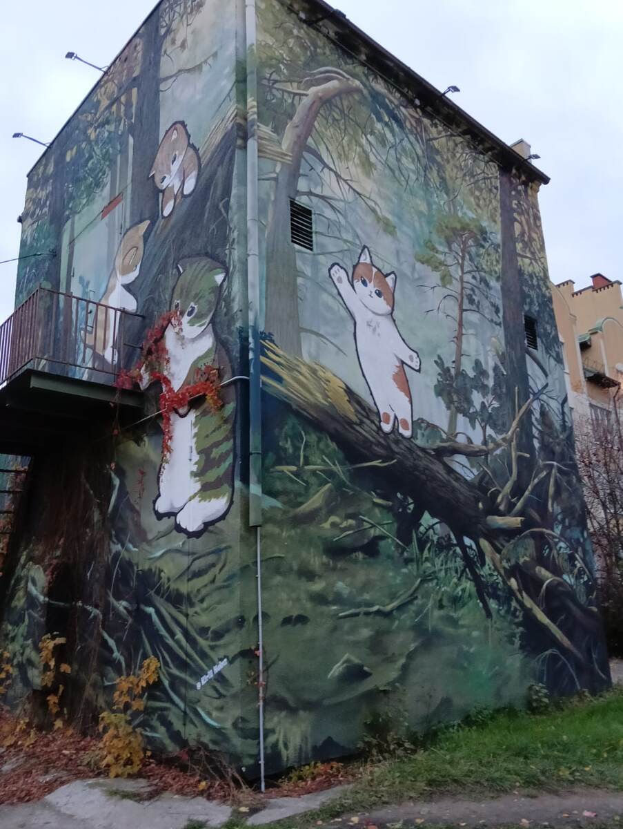 Привет от котиков