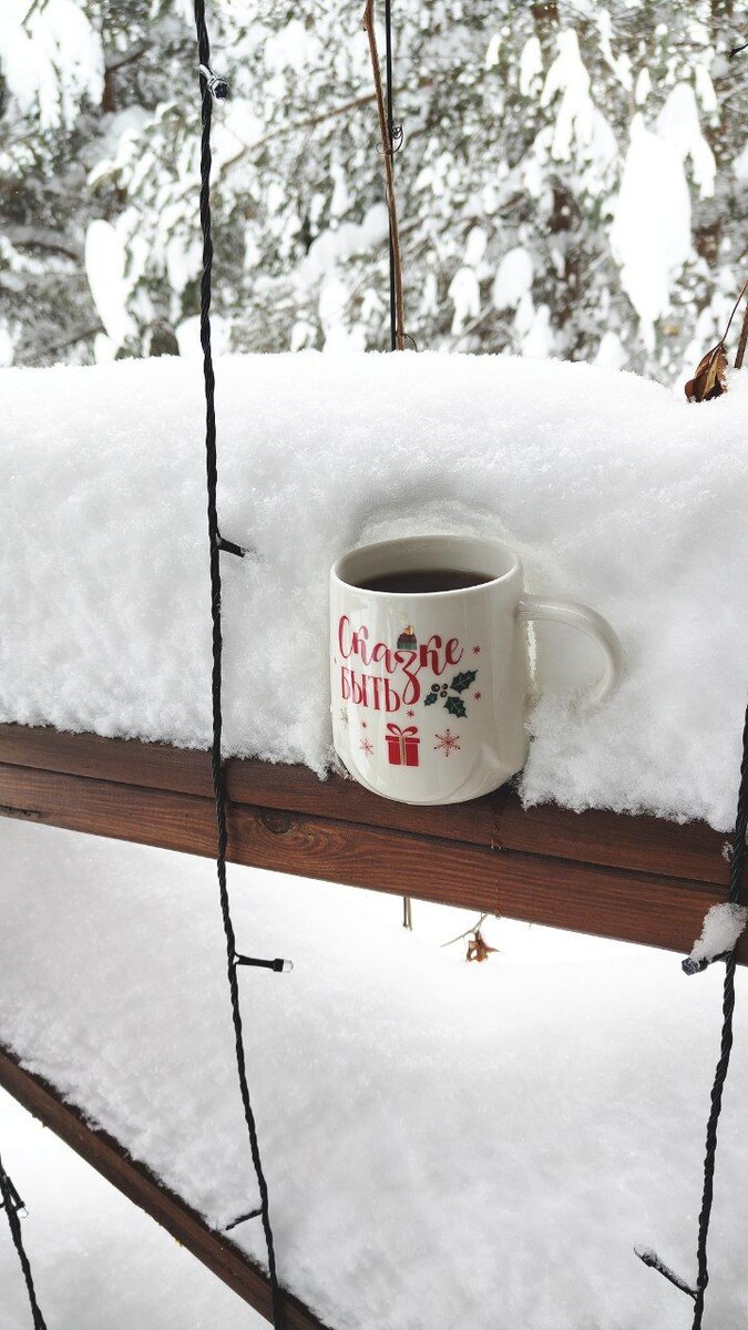 Фото моё, из сегодняшнего дня)