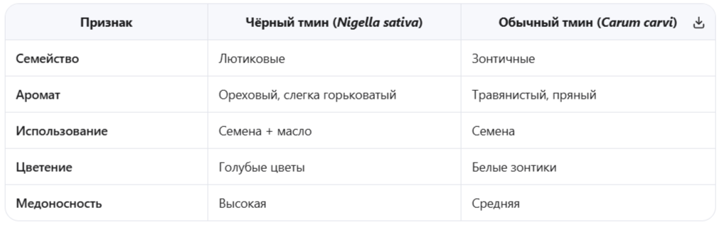 Чёрный тмин vs другие «тмины»
