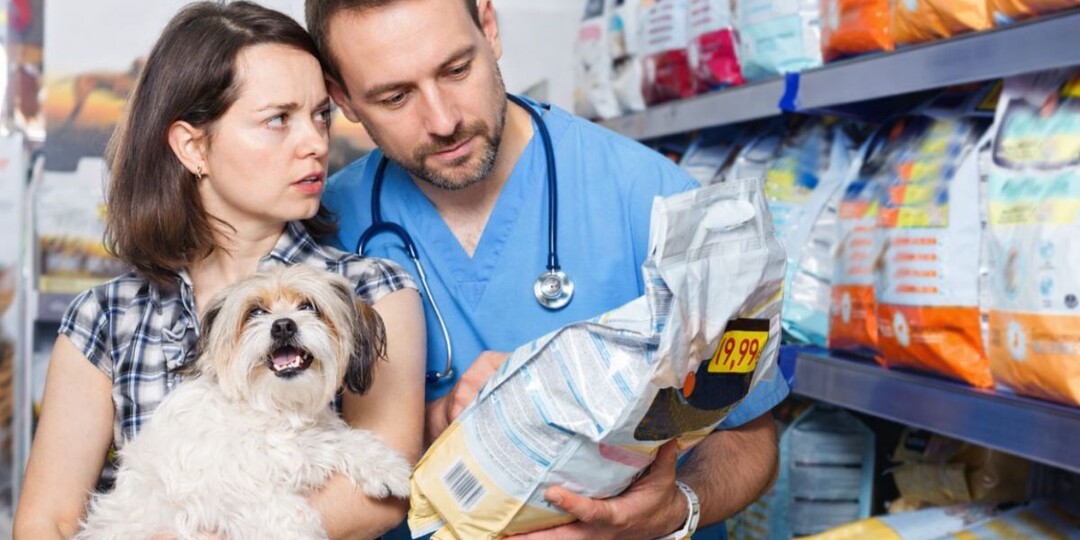 Почему ветврачи так упорно навязывают сухой корм, а натуралку считают опасной