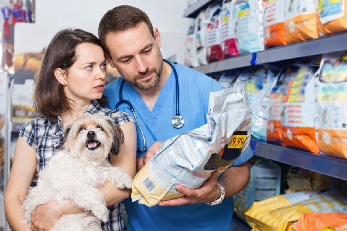 Почему ветеринары рекомендуют сухой корм 