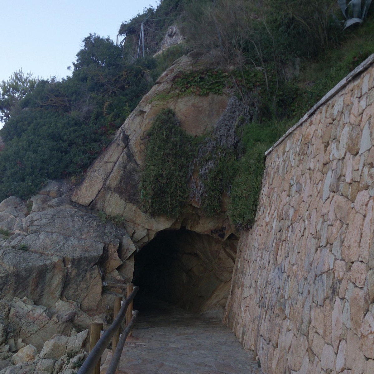 Дисциплина и мотивация - Блогер в 60+ | Евгения Бровкина