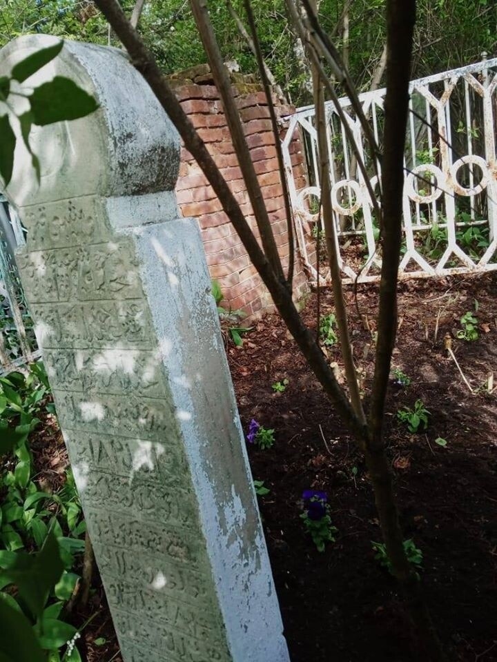 
Фото: из открытых источников (соц. сети) vk.com