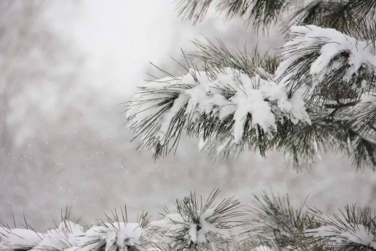    Ехавший в Оймякон на велосипеде турист из Польши умер в гостинице