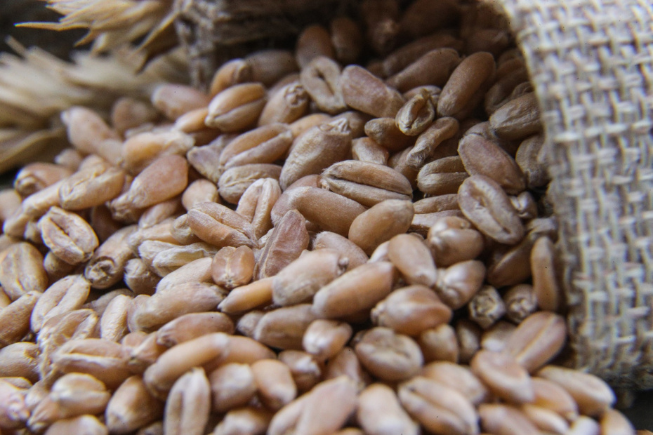    Сергей Булкин/NEWS.ru