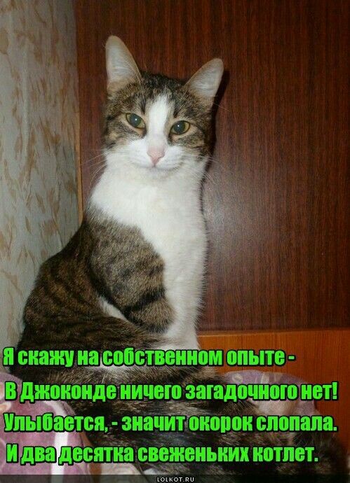 Мы тоже,сытые спим, загадочно улыбаясь во сне! Окорок снится!😸